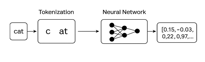 Tokenization and neural network vectorization diagram (cat example)