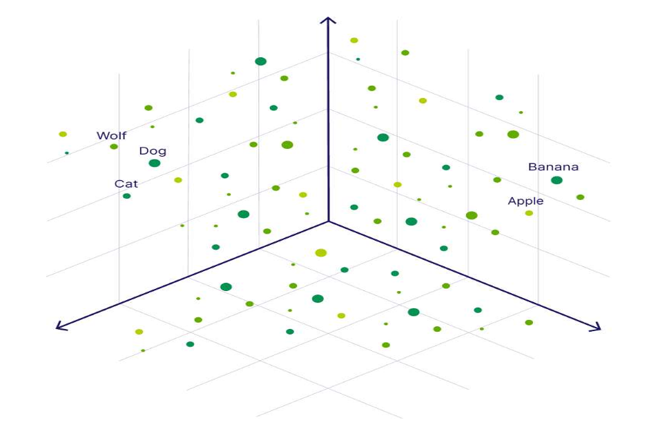3D vector space visualization showing Wolf, Dog, Cat, Apple, Banana cluster positions